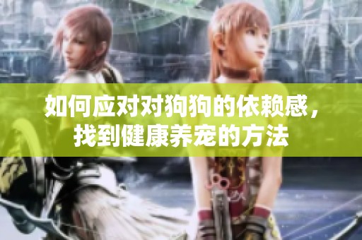 如何应对对狗狗的依赖感，找到健康养宠的方法