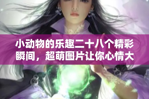 小动物的乐趣二十八个精彩瞬间，超萌图片让你心情大好