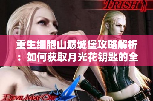 重生细胞山巅城堡攻略解析：如何获取月光花钥匙的全面指南