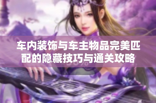 车内装饰与车主物品完美匹配的隐藏技巧与通关攻略