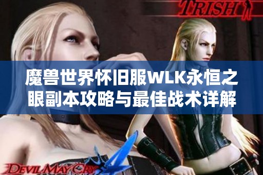 魔兽世界怀旧服WLK永恒之眼副本攻略与最佳战术详解