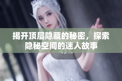 揭开顶层隐藏的秘密，探索隐秘空间的迷人故事