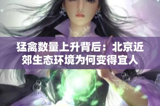 猛禽数量上升背后：北京近郊生态环境为何变得宜人