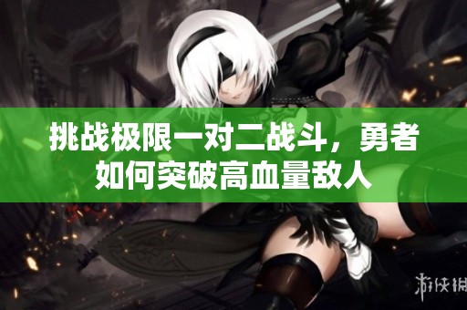 挑战极限一对二战斗，勇者如何突破高血量敌人