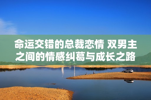 命运交错的总裁恋情 双男主之间的情感纠葛与成长之路