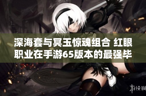 深海套与冥玉惊魂组合 红眼职业在手游65版本的最强毕业装备探秘