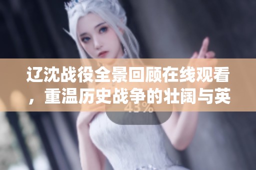 辽沈战役全景回顾在线观看，重温历史战争的壮阔与英雄情怀