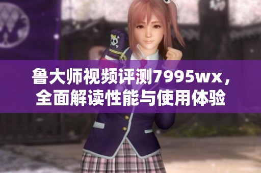 鲁大师视频评测7995wx，全面解读性能与使用体验