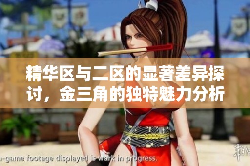 精华区与二区的显著差异探讨，金三角的独特魅力分析