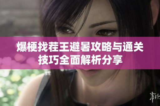 爆梗找茬王避暑攻略与通关技巧全面解析分享