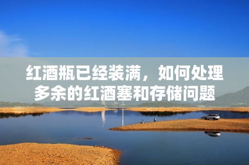 红酒瓶已经装满，如何处理多余的红酒塞和存储问题