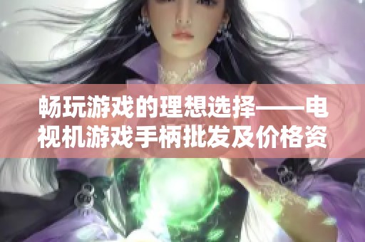 畅玩游戏的理想选择——电视机游戏手柄批发及价格资讯分享