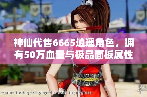 神仙代售6665逍遥角色，拥有50万血量与极品面板属性！