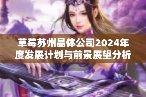草莓苏州晶体公司2024年度发展计划与前景展望分析