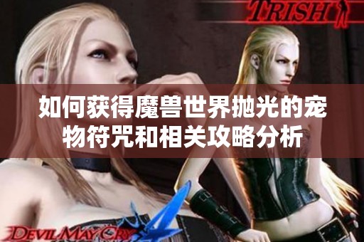 如何获得魔兽世界抛光的宠物符咒和相关攻略分析