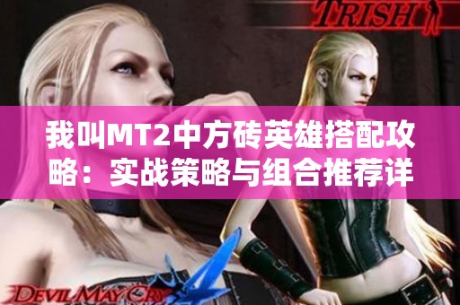 我叫MT2中方砖英雄搭配攻略：实战策略与组合推荐详解