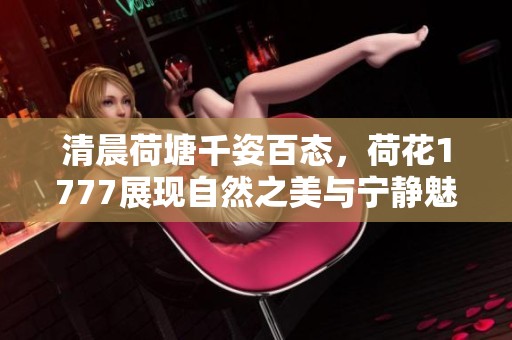 清晨荷塘千姿百态，荷花1777展现自然之美与宁静魅力