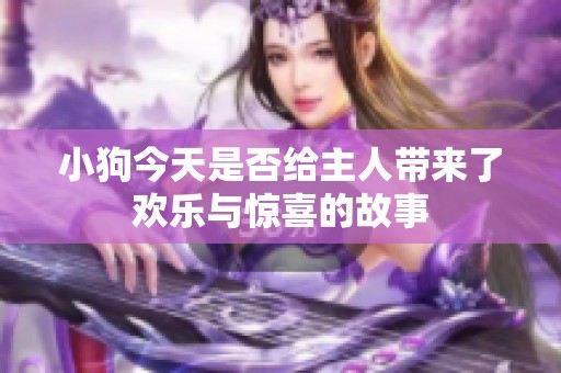 小狗今天是否给主人带来了欢乐与惊喜的故事