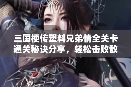 三国梗传塑料兄弟情全关卡通关秘诀分享，轻松击败敌人的技巧解析