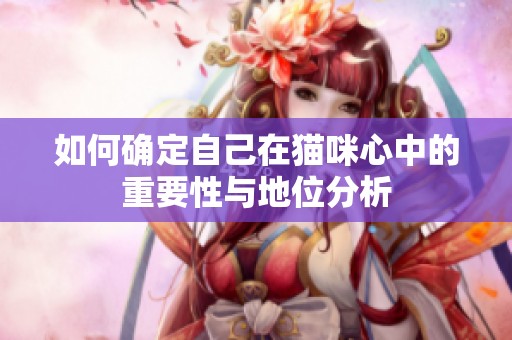 如何确定自己在猫咪心中的重要性与地位分析