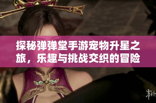 探秘弹弹堂手游宠物升星之旅，乐趣与挑战交织的冒险之路
