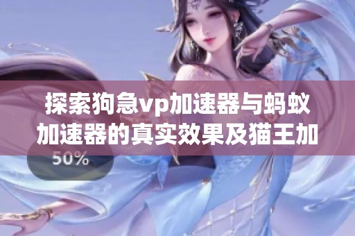 探索狗急vp加速器与蚂蚁加速器的真实效果及猫王加速器性能分析