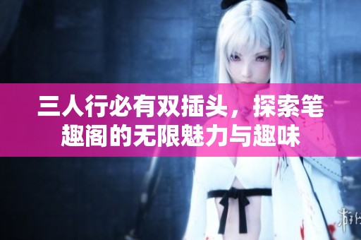 三人行必有双插头，探索笔趣阁的无限魅力与趣味