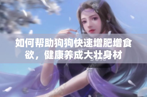 如何帮助狗狗快速增肥增食欲，健康养成大壮身材