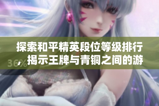 探索和平精英段位等级排行，揭示王牌与青铜之间的游戏差异