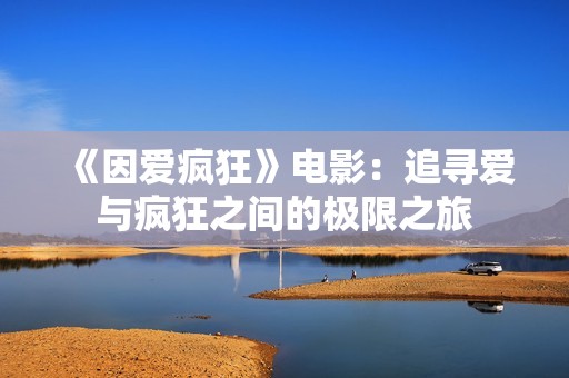 《因爱疯狂》电影：追寻爱与疯狂之间的极限之旅
