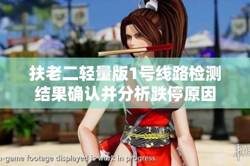 扶老二轻量版1号线路检测结果确认并分析跌停原因