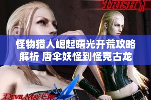 怪物猎人崛起曙光开荒攻略解析 唐伞妖怪到怪克古龙全流程提示