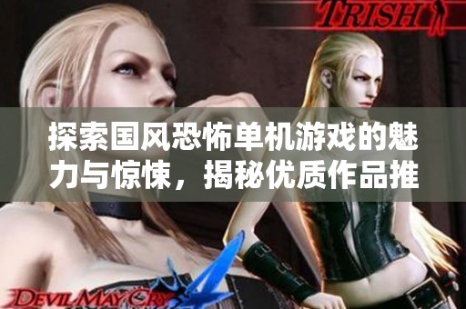 探索国风恐怖单机游戏的魅力与惊悚，揭秘优质作品推荐合集