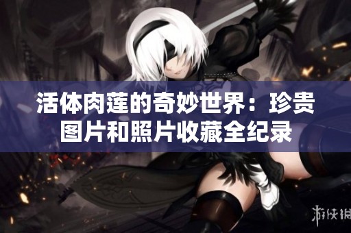 活体肉莲的奇妙世界：珍贵图片和照片收藏全纪录