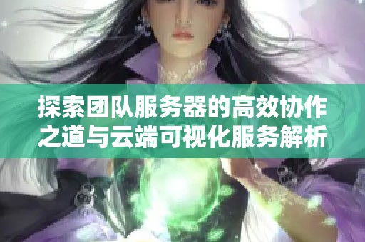 探索团队服务器的高效协作之道与云端可视化服务解析