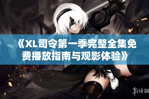 《XL司令第一季完整全集免费播放指南与观影体验》