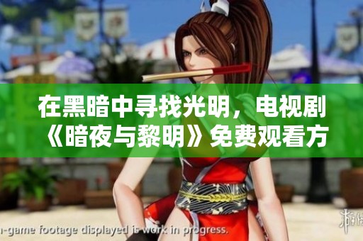 在黑暗中寻找光明，电视剧《暗夜与黎明》免费观看方案探讨