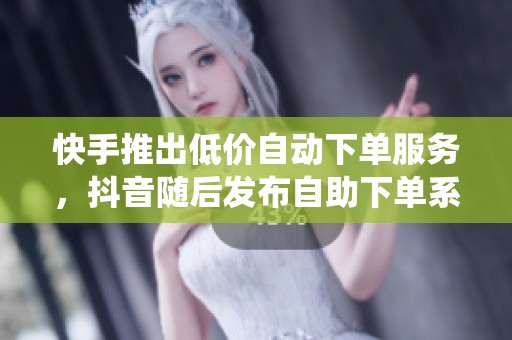 快手推出低价自动下单服务，抖音随后发布自助下单系统应对