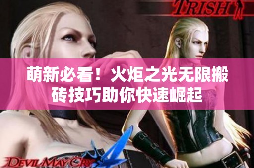 萌新必看！火炬之光无限搬砖技巧助你快速崛起