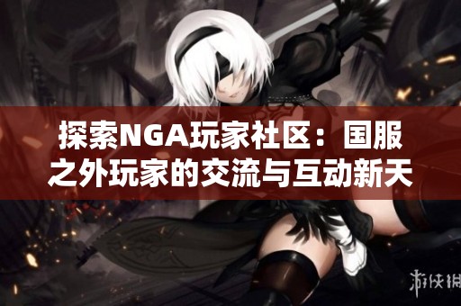 探索NGA玩家社区：国服之外玩家的交流与互动新天地