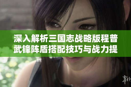 深入解析三国志战略版程普武锋阵盾搭配技巧与战力提升策略