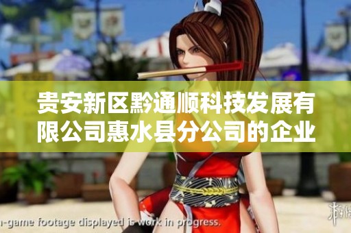 贵安新区黔通顺科技发展有限公司惠水县分公司的企业信息查询与分析