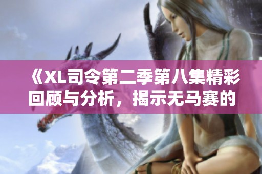 《XL司令第二季第八集精彩回顾与分析，揭示无马赛的秘密》