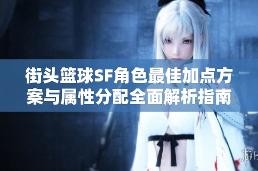 街头篮球SF角色最佳加点方案与属性分配全面解析指南