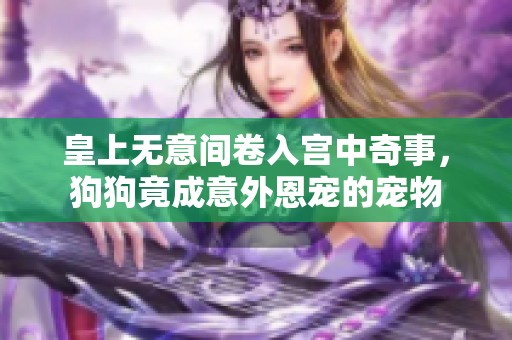 皇上无意间卷入宫中奇事，狗狗竟成意外恩宠的宠物
