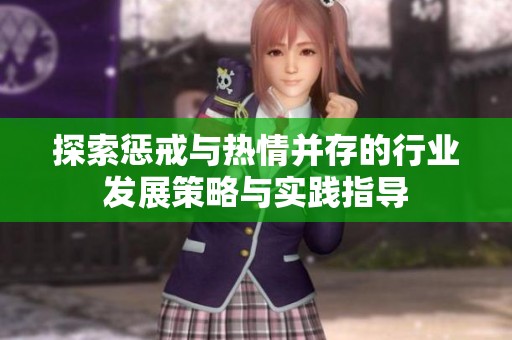 探索惩戒与热情并存的行业发展策略与实践指导