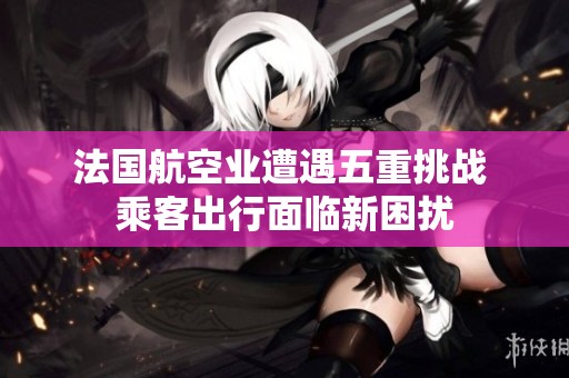 法国航空业遭遇五重挑战 乘客出行面临新困扰